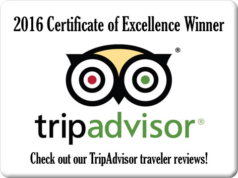 We are rated on TripAdvisor